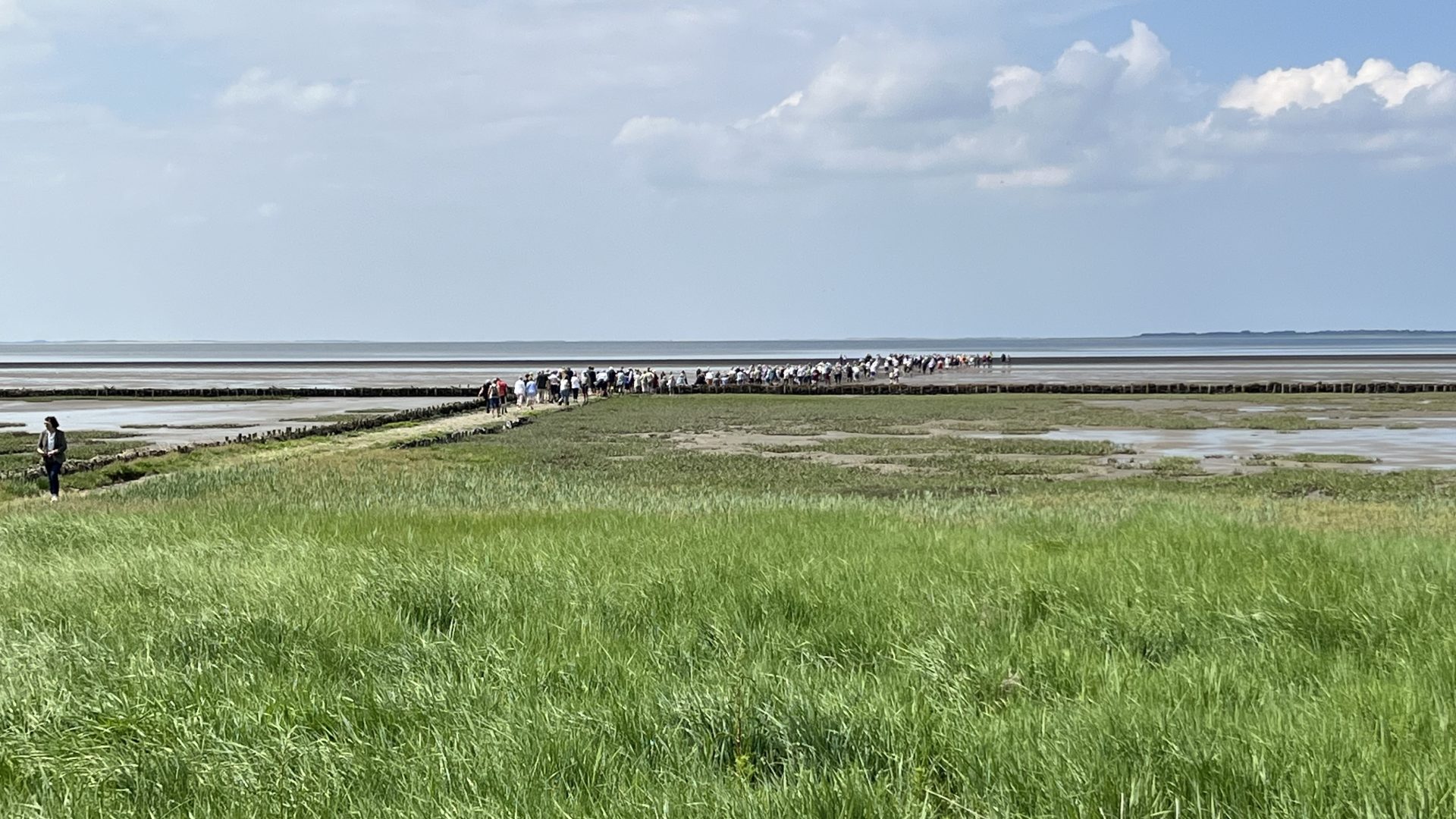 »Vi henter tidevandet ind« 2025